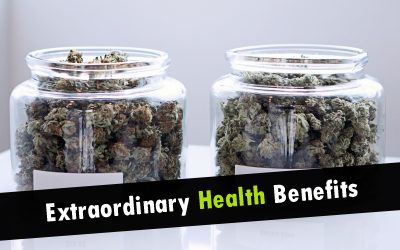 Health benefits of marijuana